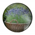 magnet-kulaty-