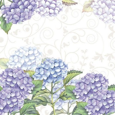 Ubrousky Hortensia 3400137
