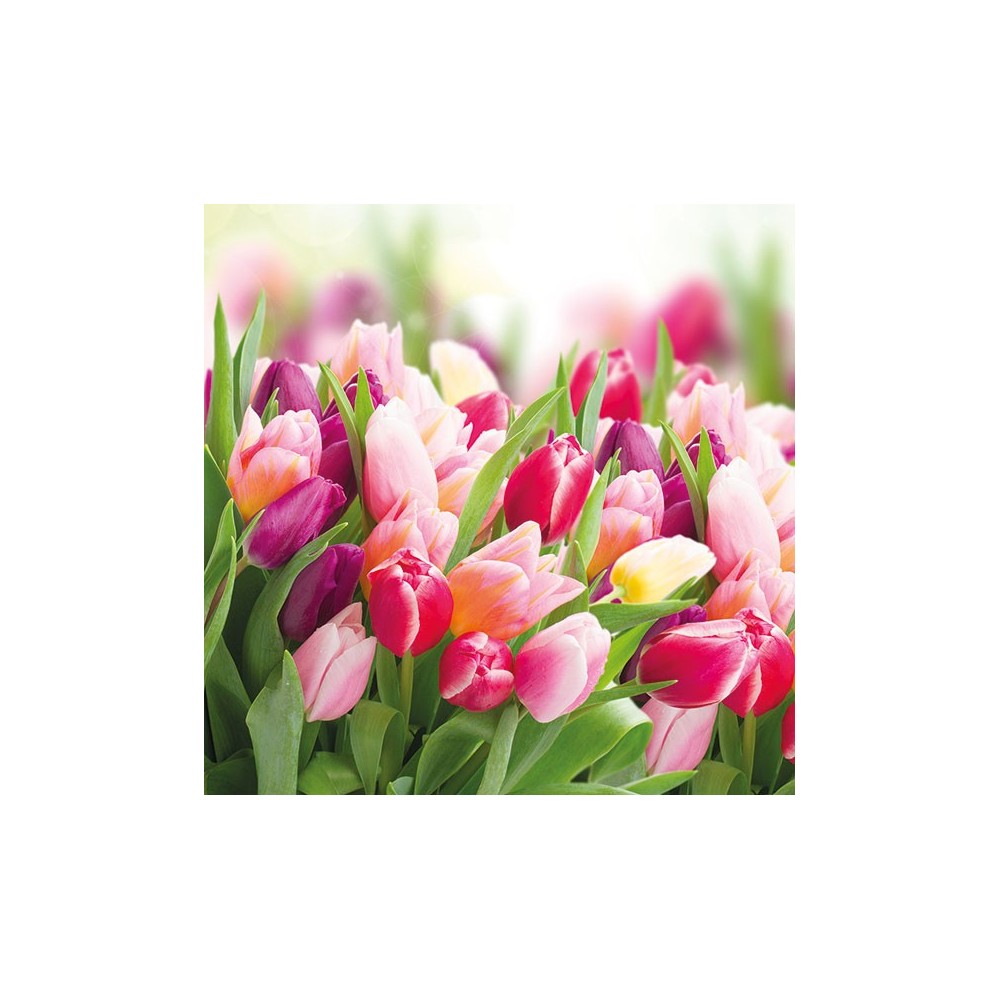 ubrousky-tulipany ubrousky-tulipany