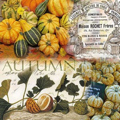 ubrousky-autumn-dyne