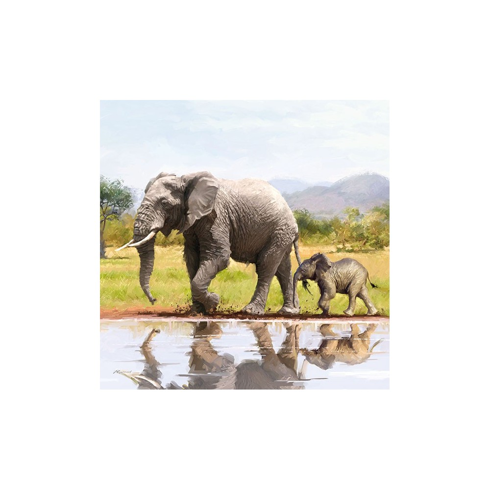 ubrousky-elephant ubrousky-elephant