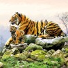 ubrousky-tygri