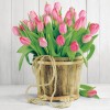 ubrousky-tulipany-v-kbeliku