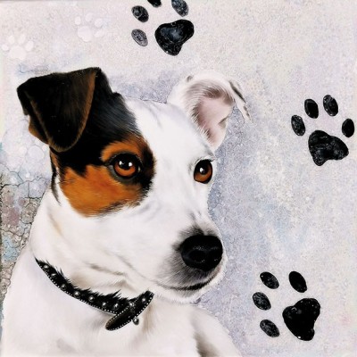 ubrousky-jack-russell
