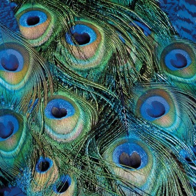 ubrousky-mandala