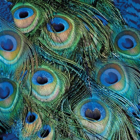 ubrousky-mandala