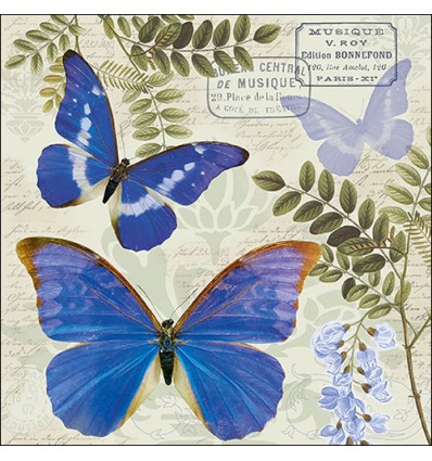 ubrousky-modry-motyl