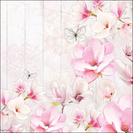 ubrousky-magnolie