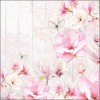 ubrousky-magnolie