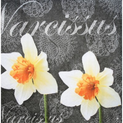 ubrousky-narcis