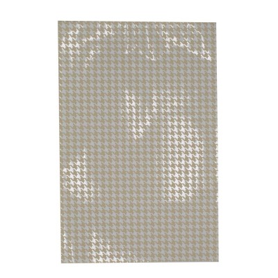 sacek-pp-folie-16-x-25-cm-pied-double