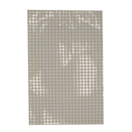 sacek-pp-folie-16-x-25-cm-pied-double