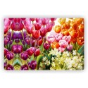 Prostírání plastové barevné tulipány - 1000657