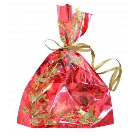 Sáček ván. poloprůhledný 20 x 35 cm Ilex 20