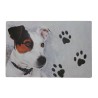 Jack Russell a pejsci